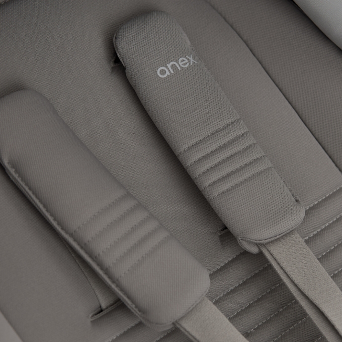 Poza cu Cărucior multifuncțional Anex Eli Santal