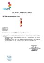 Poza cu Jucarie plus bip-bip Babyono calut 1355