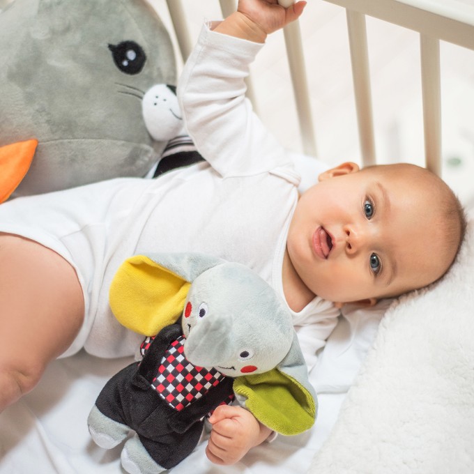 Poza cu Jucarie plus foca Lucy Babyono 644