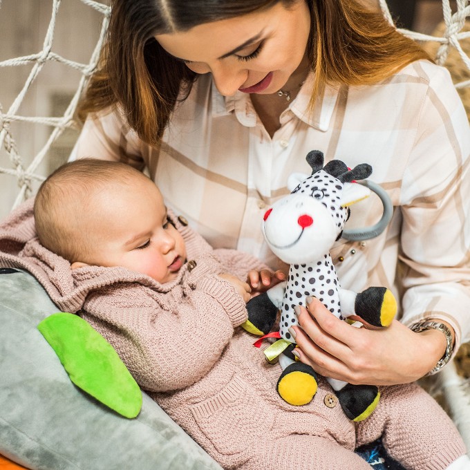 Poza cu Jucarie plus foca Lucy Babyono 644