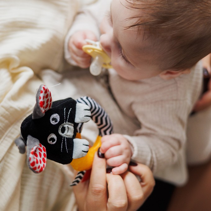 Poza cu Jucarie zornaitoare copii soarece Babyono 1677