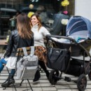 Poza cu Geanta carucior mamici Coco Babyono 1516
