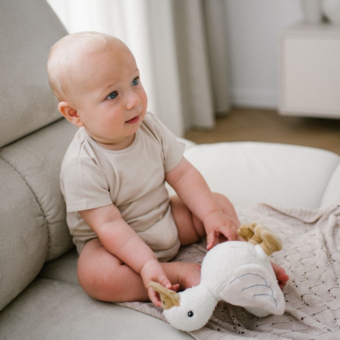 Poza cu Jucarie plus de atasament Babyono Gasca Zoe 1554