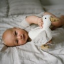Poza cu Jucarie plus de atasament Babyono Gasca Zoe 1554