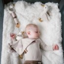 Poza cu Jucarie plus de atasament Babyono Gasca Zoe 1554