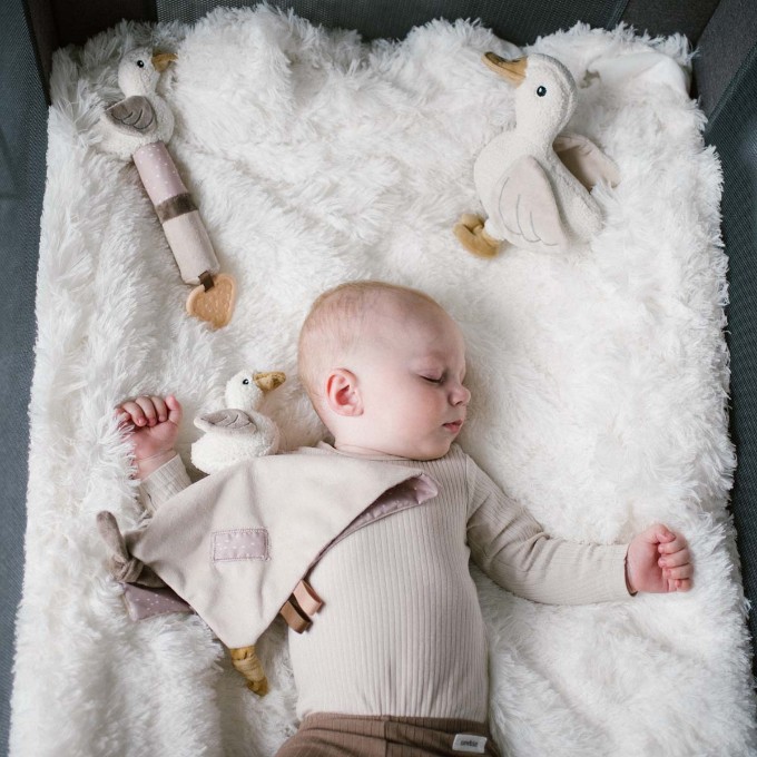 Poza cu Jucarie plus de atasament Babyono Gasca Zoe 1554