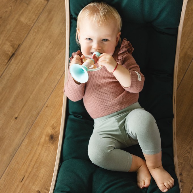 Poza cu Jucarie chitaitoare Trompeta, Babyono, 1630