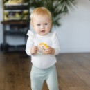 Poza cu Jucarie sunatoare leu Babyono 1627