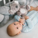 Poza cu Jucarie plus Babyono Koala Coco 1631