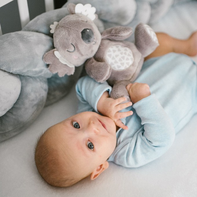 Poza cu Jucarie plus Babyono Koala Coco 1631