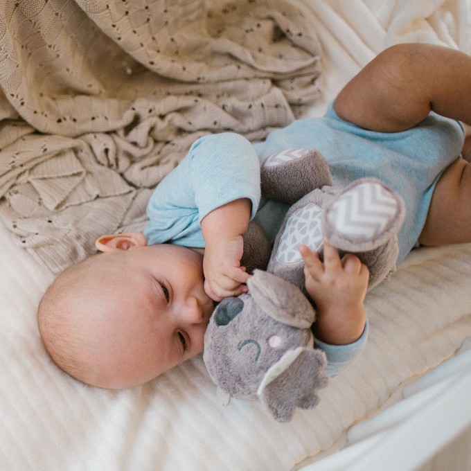 Poza cu Jucarie plus Babyono Koala Coco 1631