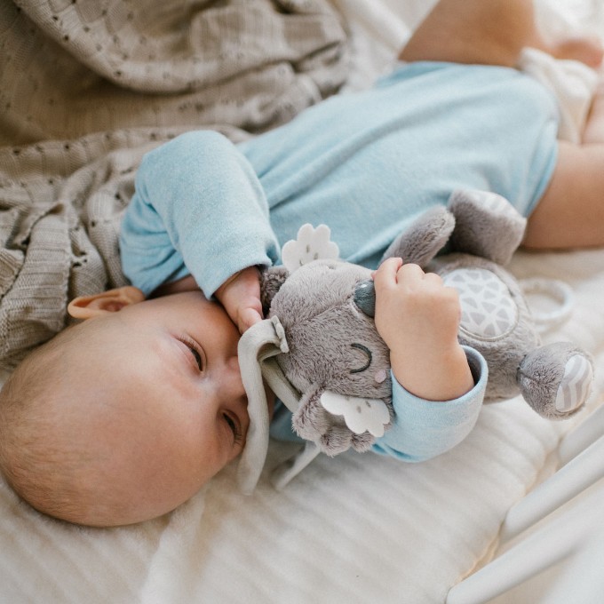 Poza cu Jucarie muzicala Babyono Koala Coco 1632