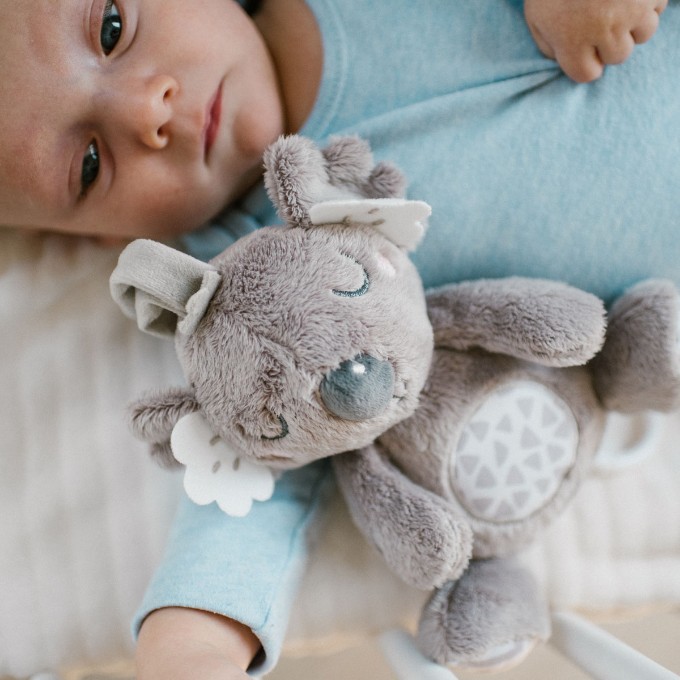 Poza cu Jucarie muzicala Babyono Koala Coco 1632
