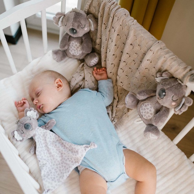 Poza cu Jucarie muzicala Babyono Koala Coco 1632