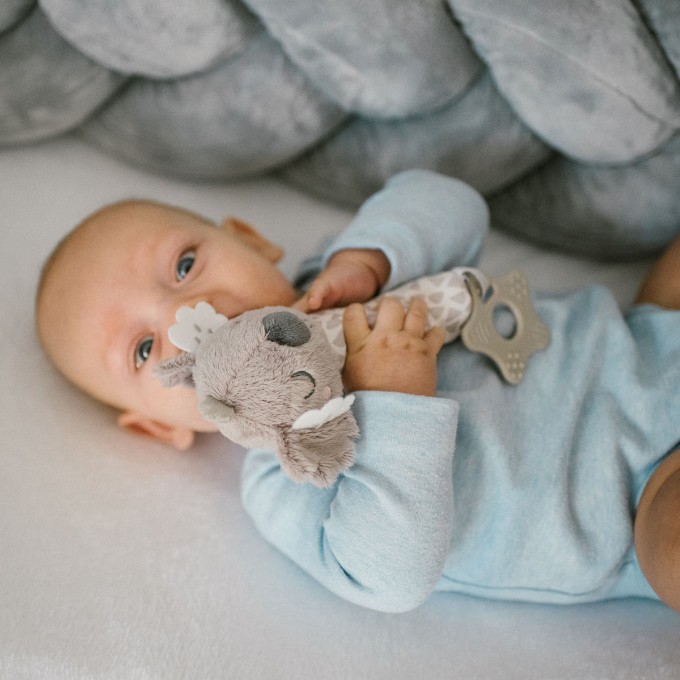 Poza cu Jucarie chitaitoare Babyono Koala Coco 1633