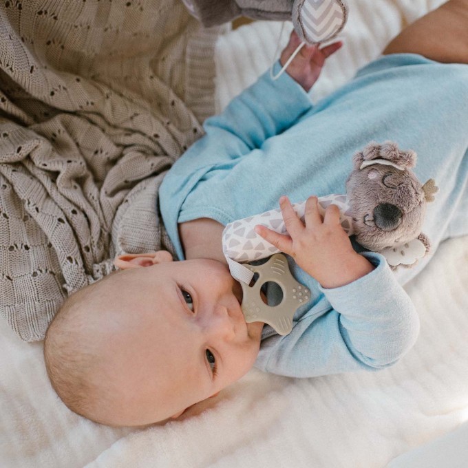 Poza cu Jucarie chitaitoare Babyono Koala Coco 1633