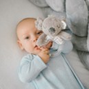 Poza cu Jucarie sunatoare Koala Coco 1634