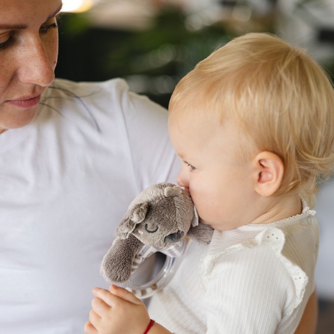 Poza cu Jucarie sunatoare Koala Coco 1634