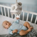 Poza cu Jucarie cub activitati Babyono Koala Coco 1637