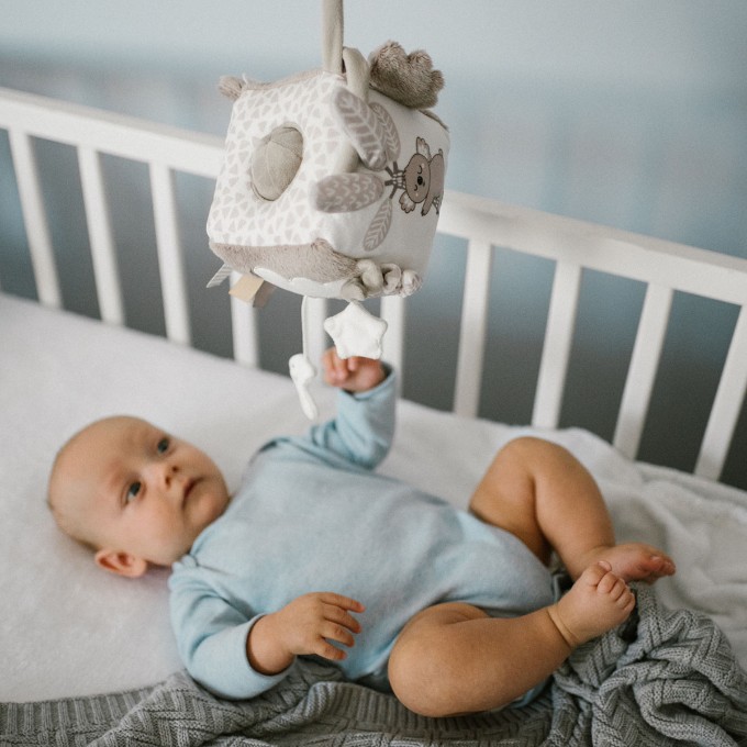 Poza cu Jucarie cub activitati Babyono Koala Coco 1637