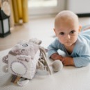 Poza cu Jucarie cub activitati Babyono Koala Coco 1637