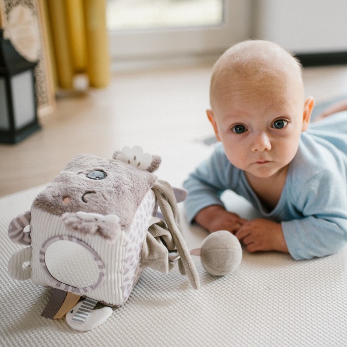Poza cu Jucarie cub activitati Babyono Koala Coco 1637