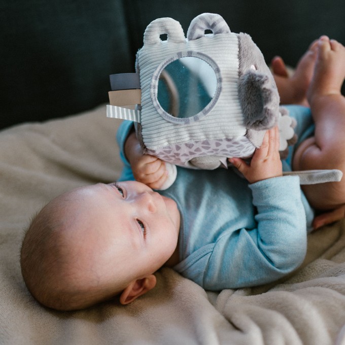 Poza cu Jucarie cub activitati Babyono Koala Coco 1637