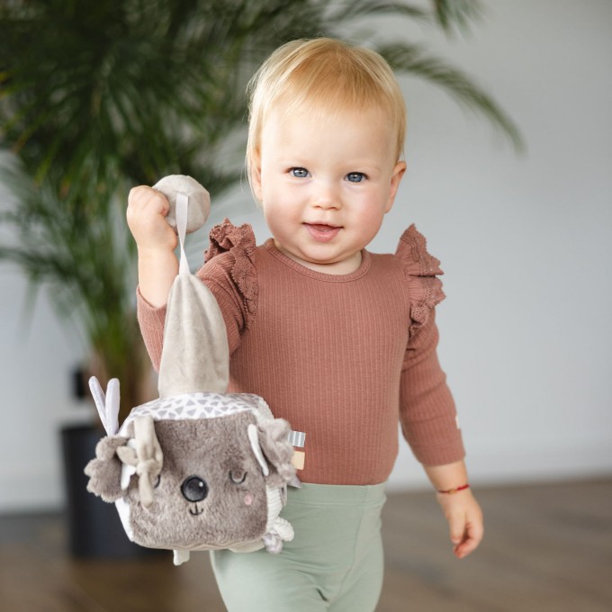 Poza cu Jucarie cub activitati Babyono Koala Coco 1637